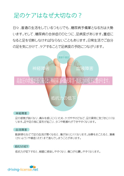 ドライビングライセンス